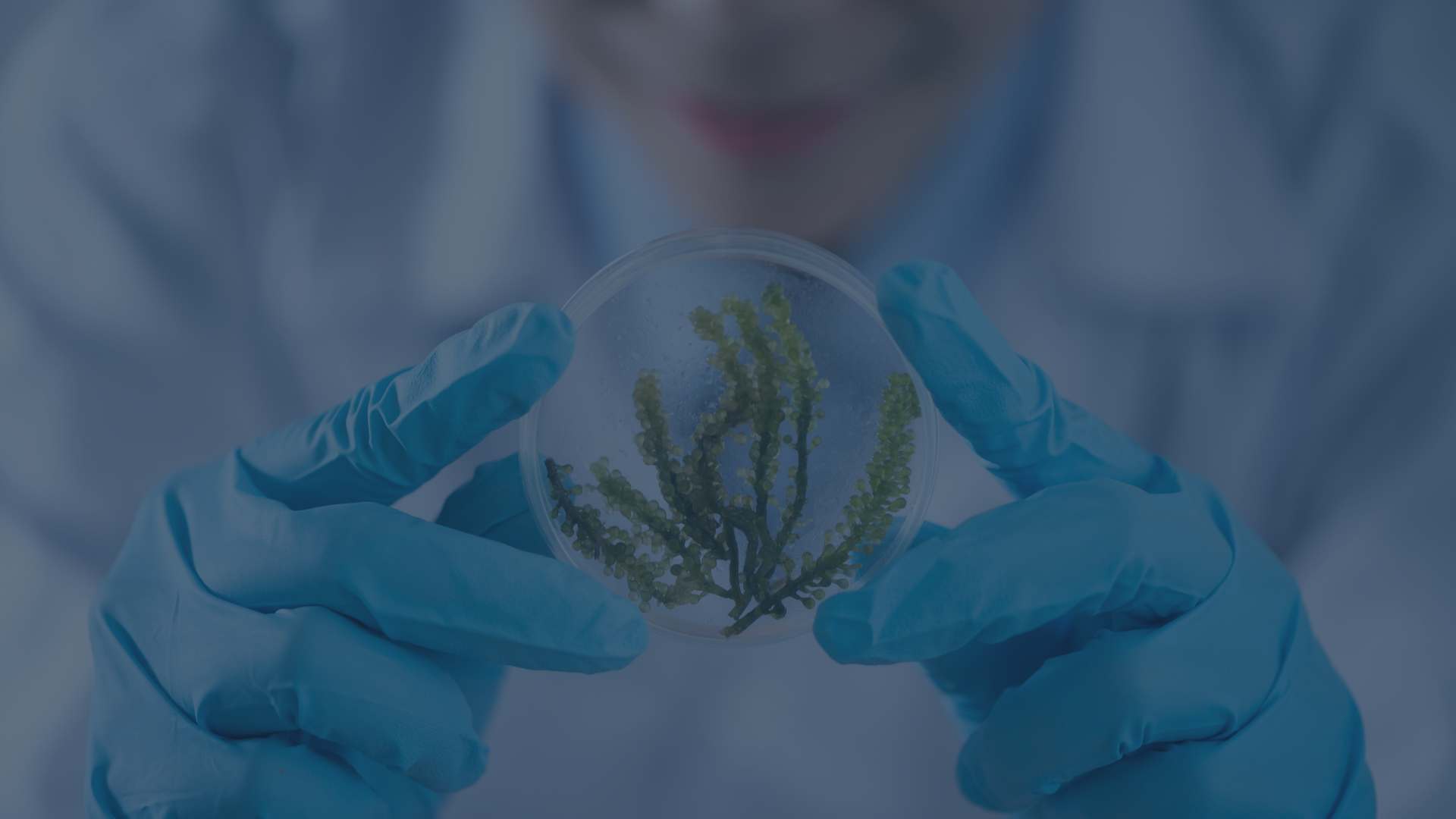 Cryopreservation