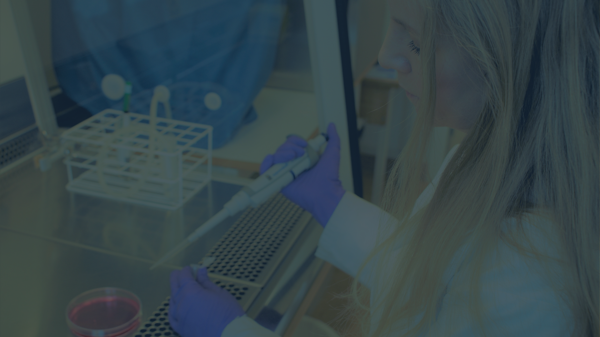 Custom protein expression and purification