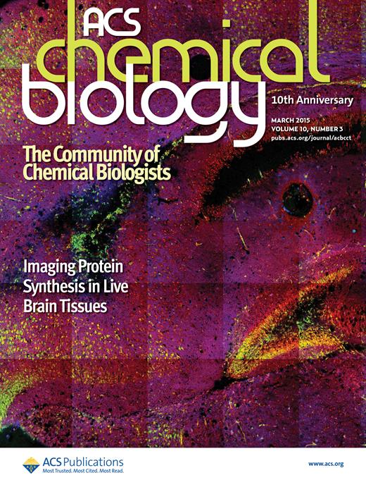 Binding of Human Proteins to Amyloid‑β Protofibrils