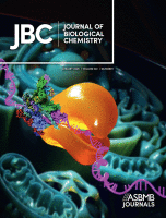 Misfolding of transthyretin in vivo is controlled by the redox environment and macromolecular crowding