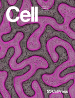 Cell Cover