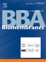 Lipid membranes catalyse the fibril formation of the amyloid-β (1–42) peptide through lipid-fibril interactions that reinforce secondary pathways