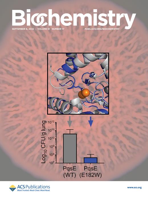 Modulation of α-Synuclein Aggregation In Vitro by a DNA Aptamer