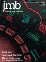 Quinolinic acid amyloid-like fibrillar assemblies seed α-synuclein aggregation