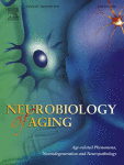 Levels of retinal IAPP are altered in Alzheimer's disease patients and correlate with vascular changes and hippocampal IAPP levels