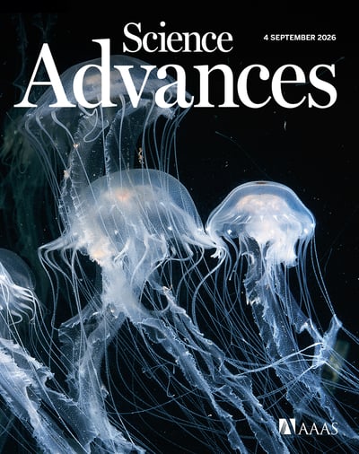 Secreted Apoe rewires melanoma cell state vulnerability to ferroptosis