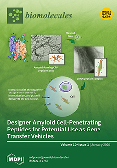 Apolipoprotein E interferes with IAPP aggregation and protects pericytes from IAPP-Induced Toxicity