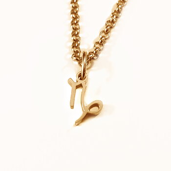 Stjärntecken Stenbocken i guld - Rostfritt Stål