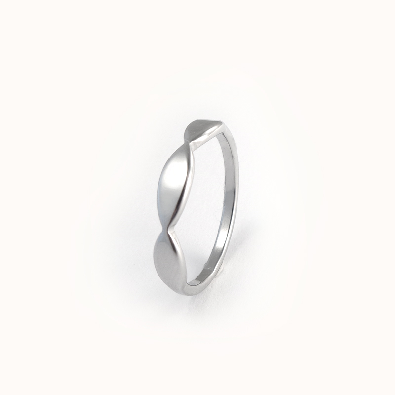Blank ring i 316 stål - 2 (4) mm bred