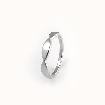 Blank ring i 316 stål - 2 (4) mm bred