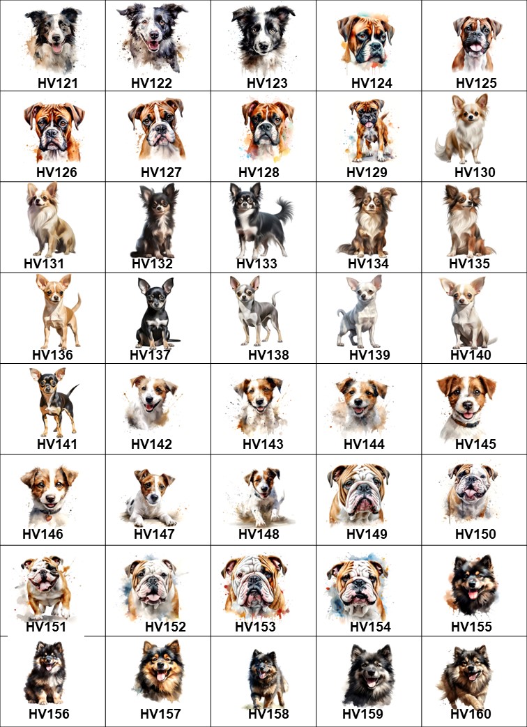 Pute hund   6 - 5