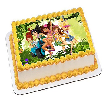 Lego friends 13