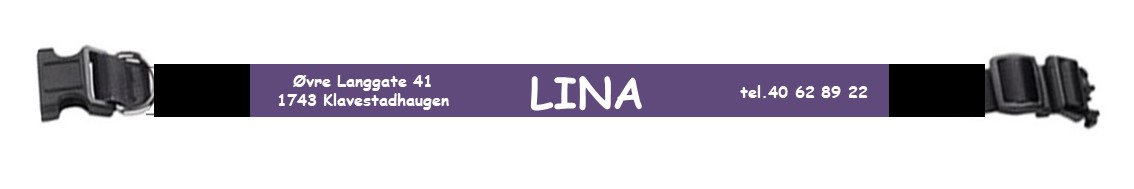 Halsbånd  Lilla