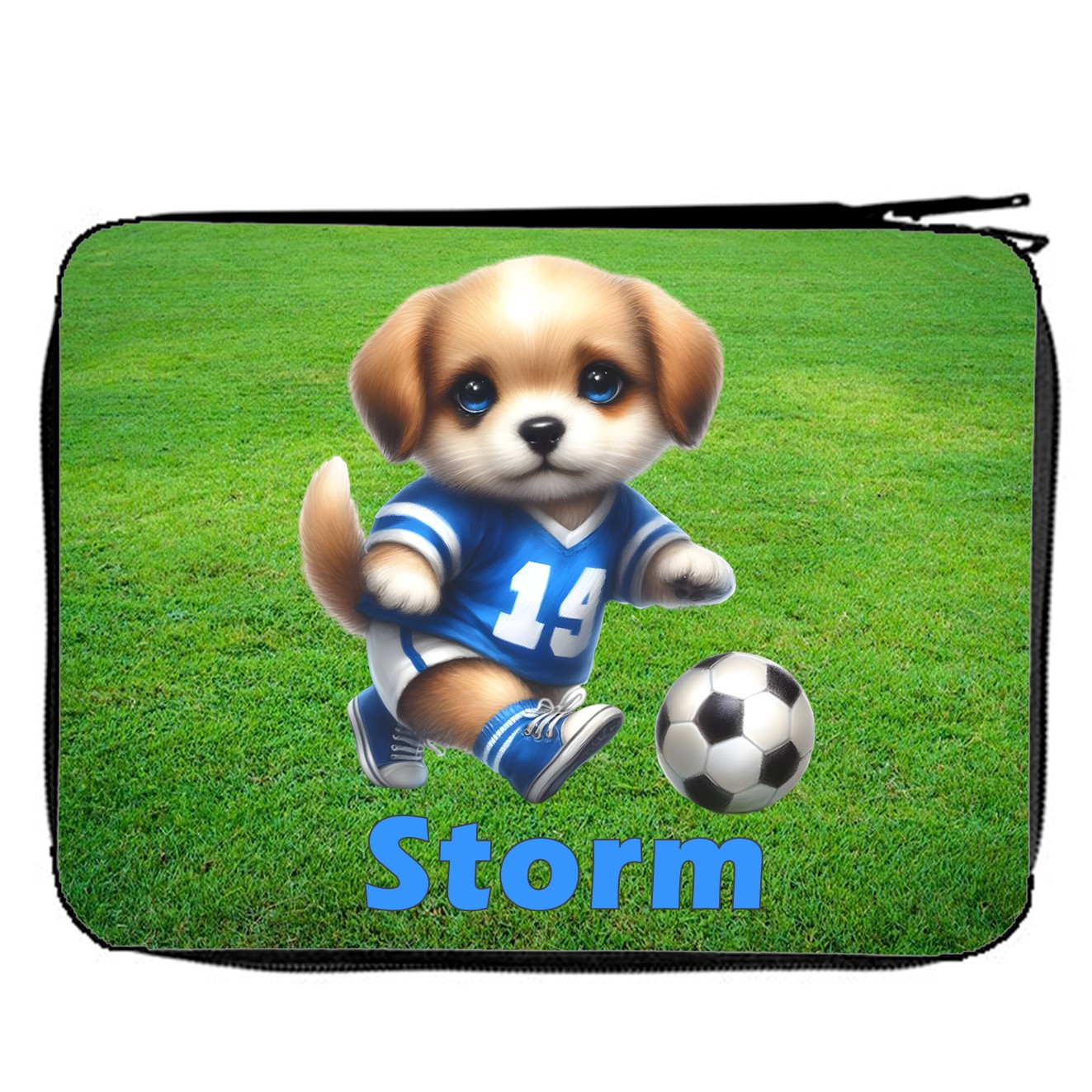 Pennal Fotball  12