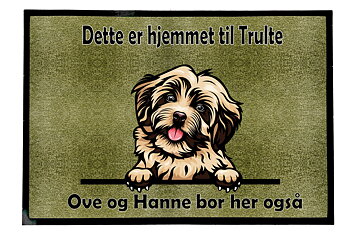 Dørmatte Havanese 1 