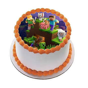 Minecraft R 11