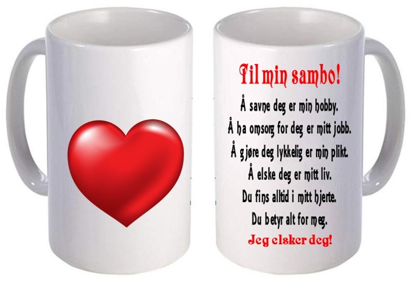 Kopp til SAMBO 2