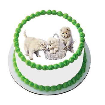 Kakebilde Hund 2 R