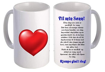 Kopp til SØNN 2