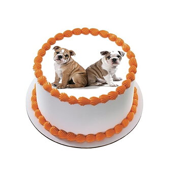 Kakebilde Hund 13 R