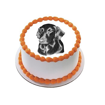 Kakebilde Hund 26 R