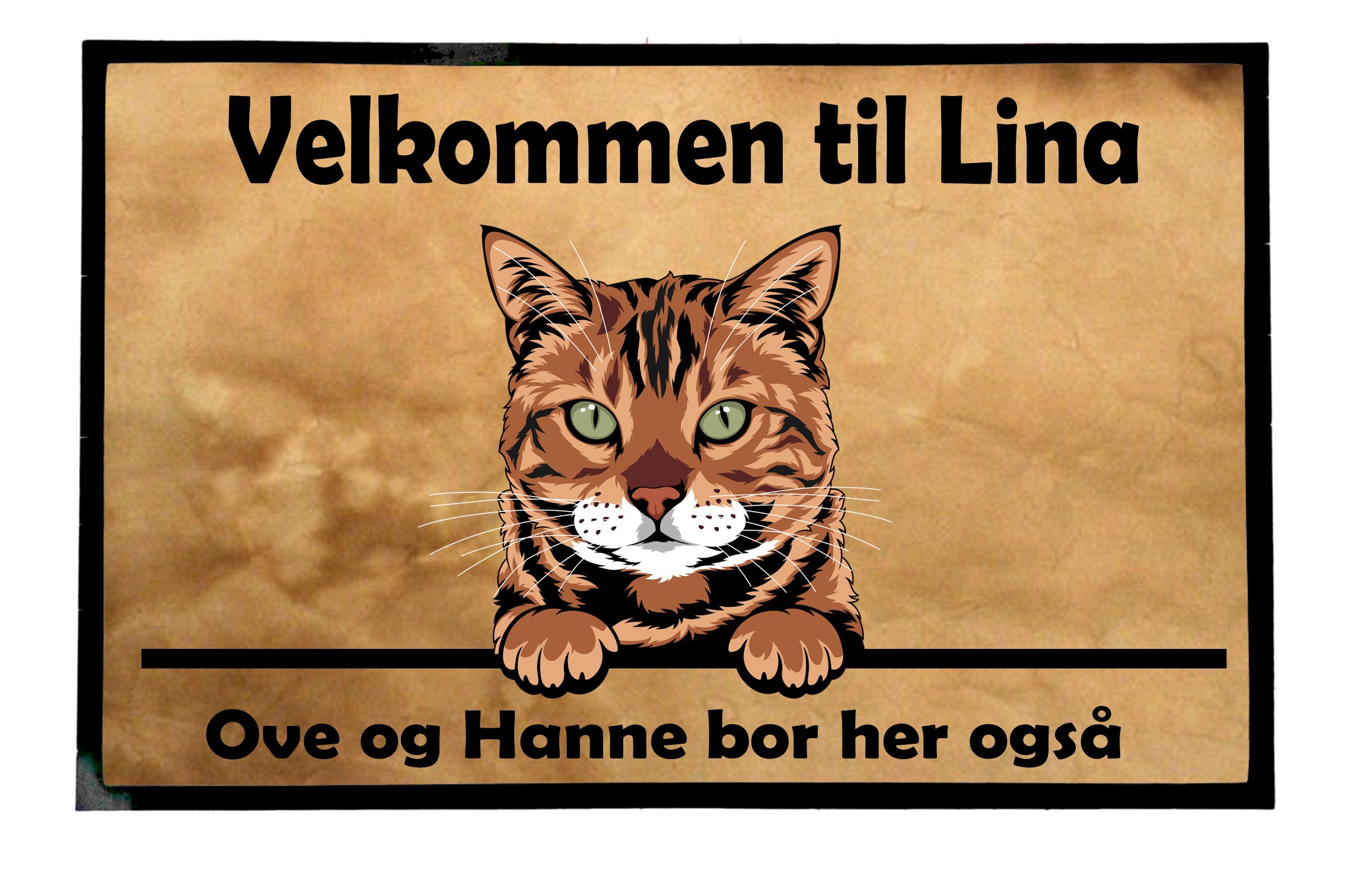  Dørmatte Katt 1