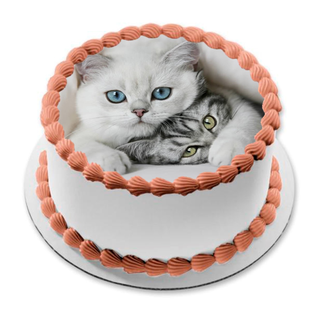 Kakebilde Katt 1 R