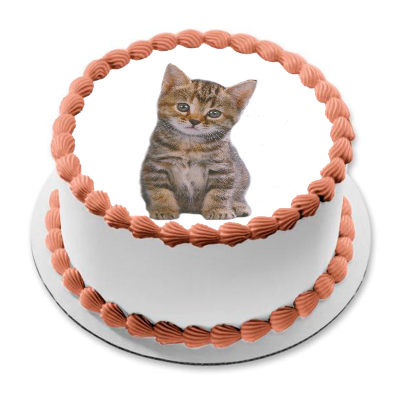 Kakebilde Katt 3 R