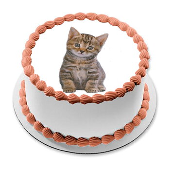 Kakebilde Katt 3 R