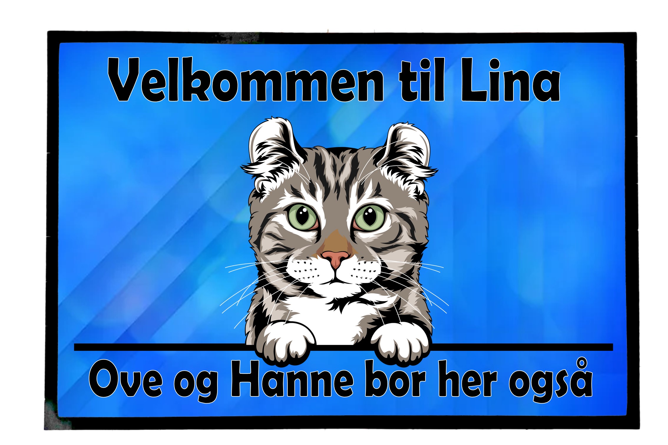  Dørmatte Katt 3
