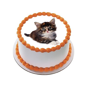 Kakebilde Katt 10 R