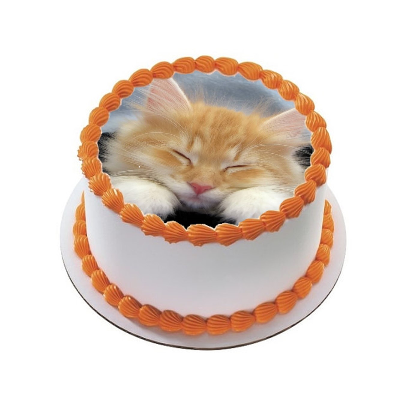 Kakebilde Katt 11 R