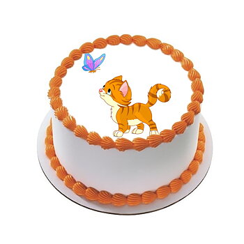 Kakebilde Katt 13 R