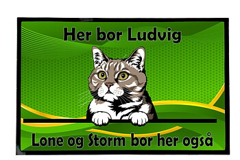  Dørmatte Katt 4