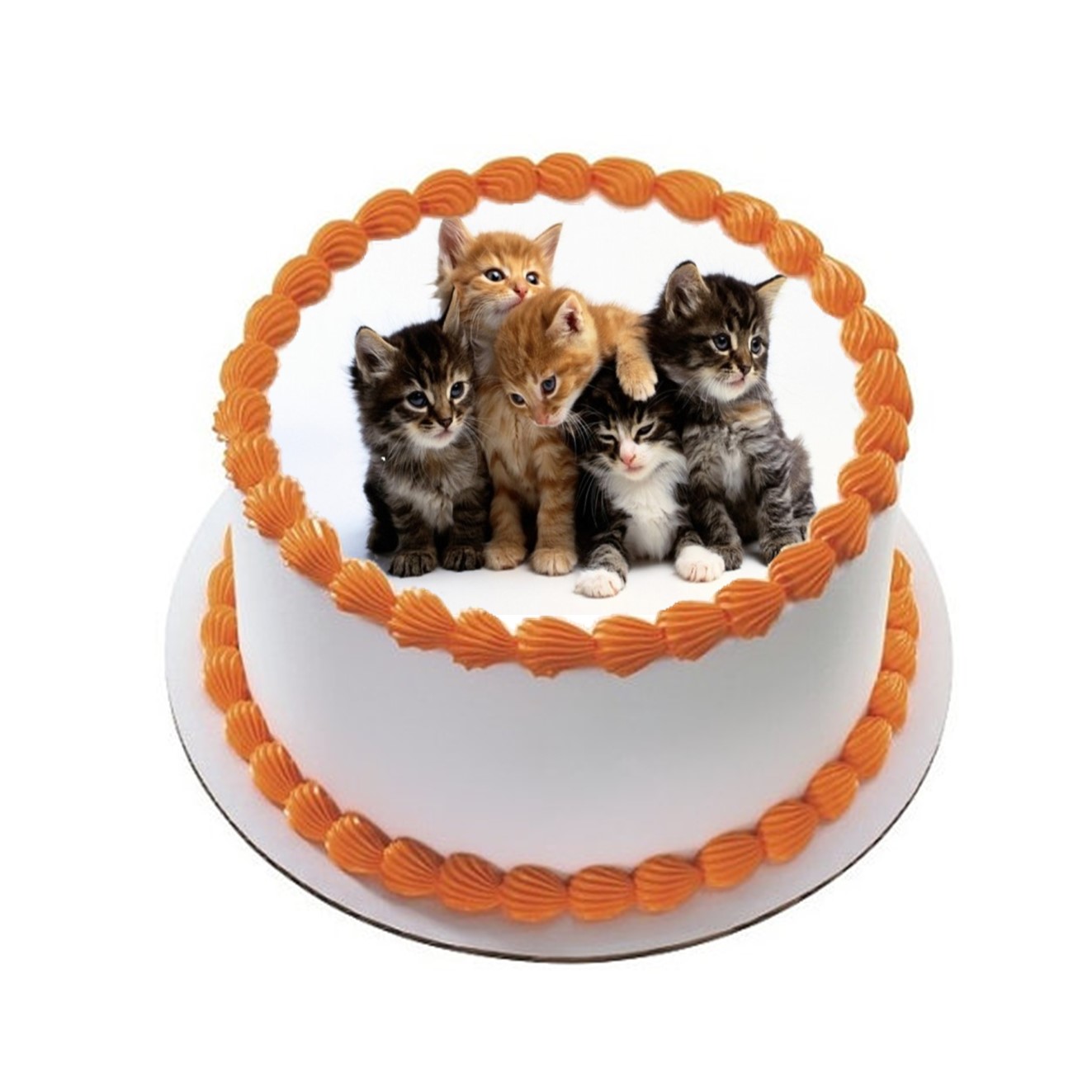 Kakebilde Katt 18 R