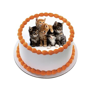 Kakebilde Katt 18 R