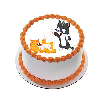 Kakebilde Katt 16 R