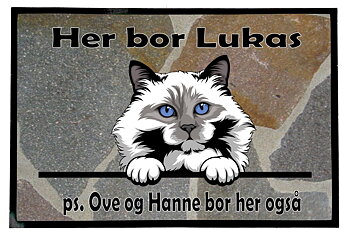  Dørmatte Katt 5