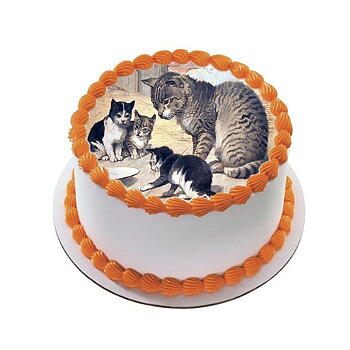 Kakebilde Katt 19 R