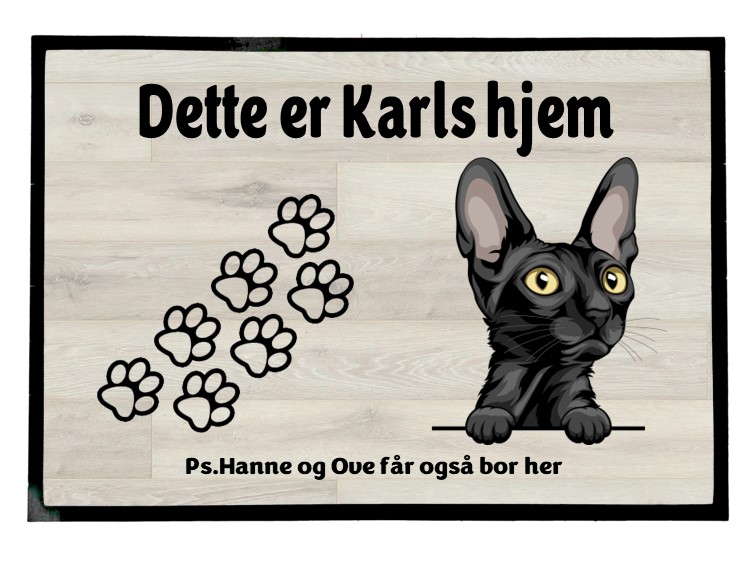  Dørmatte Katt 10
