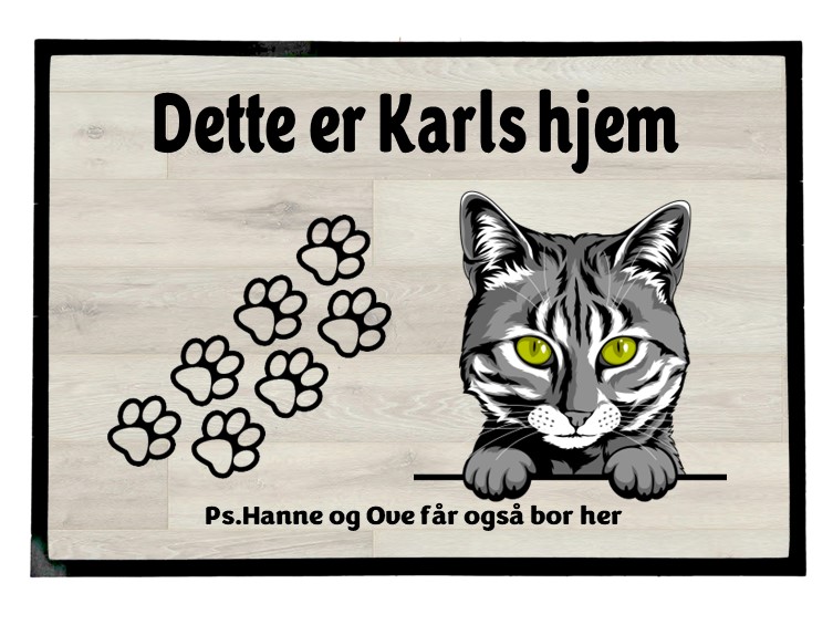  Dørmatte Katt 11