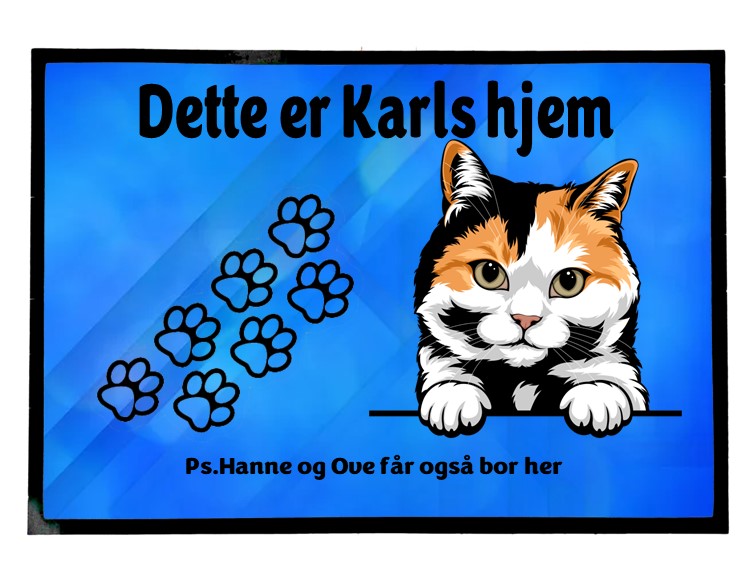 Dørmatte Katt 12