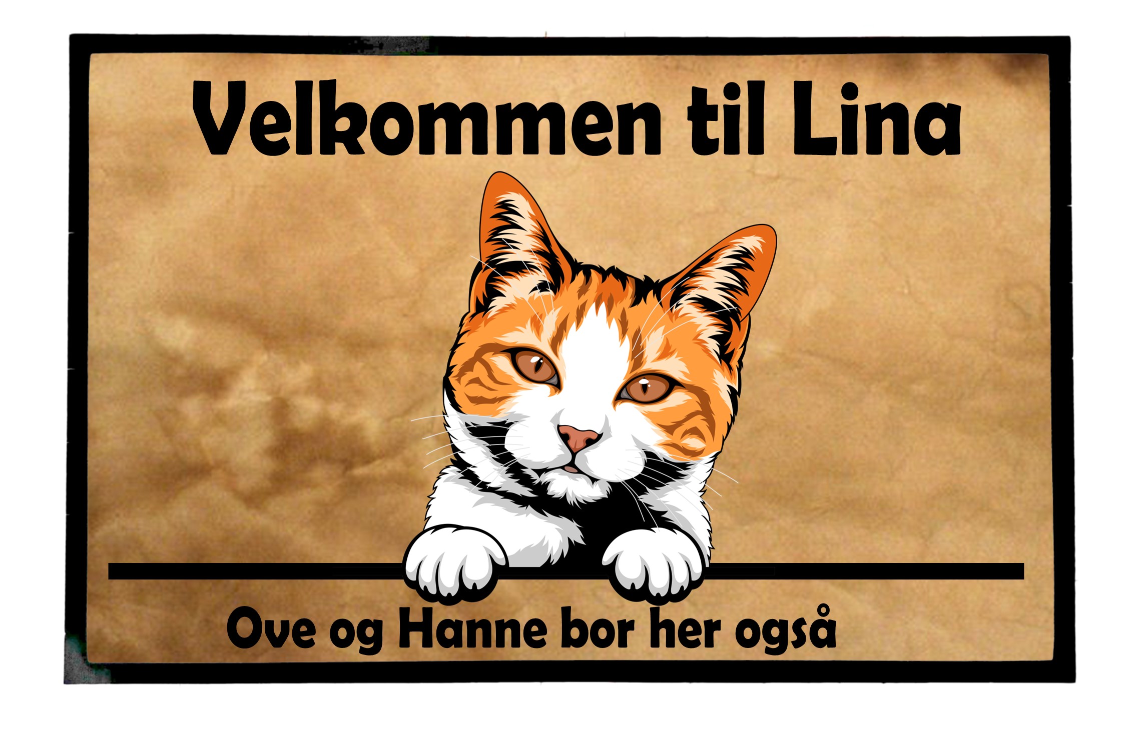  Dørmatte Katt 13