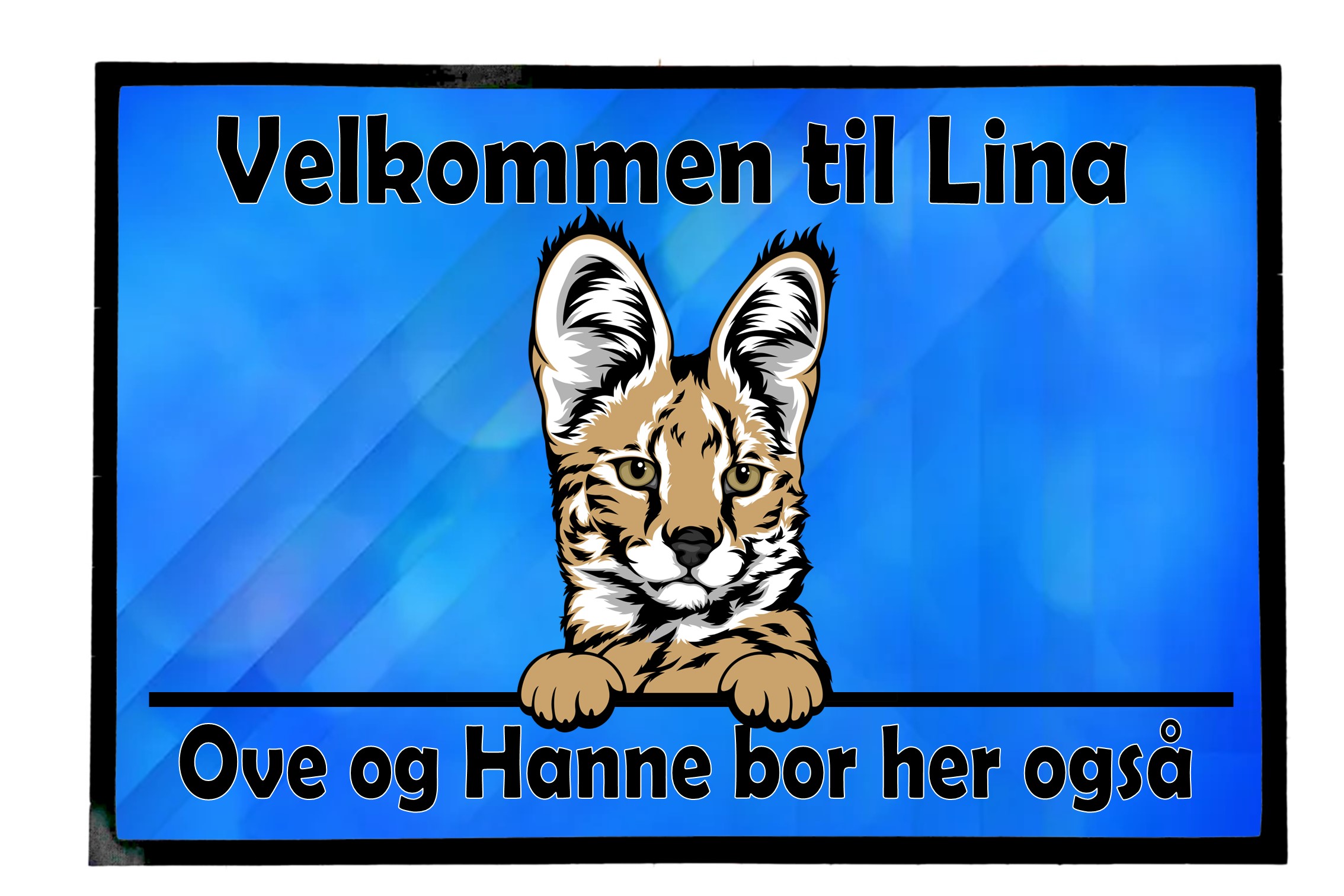  Dørmatte Katt 17