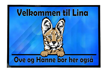  Dørmatte Katt 17