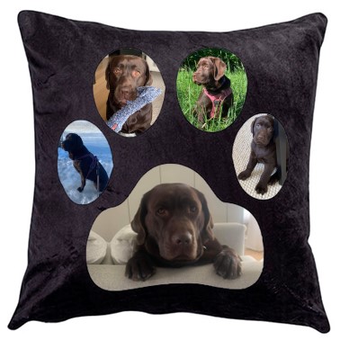 Pute hund  med 5 bilder