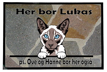  Dørmatte Katt 21