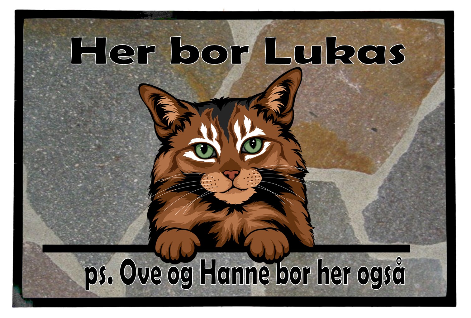  Dørmatte Katt 22
