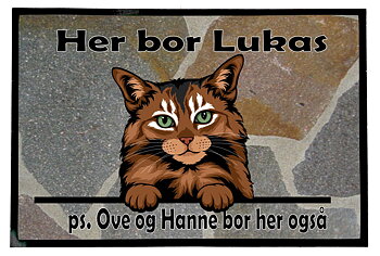  Dørmatte Katt 22