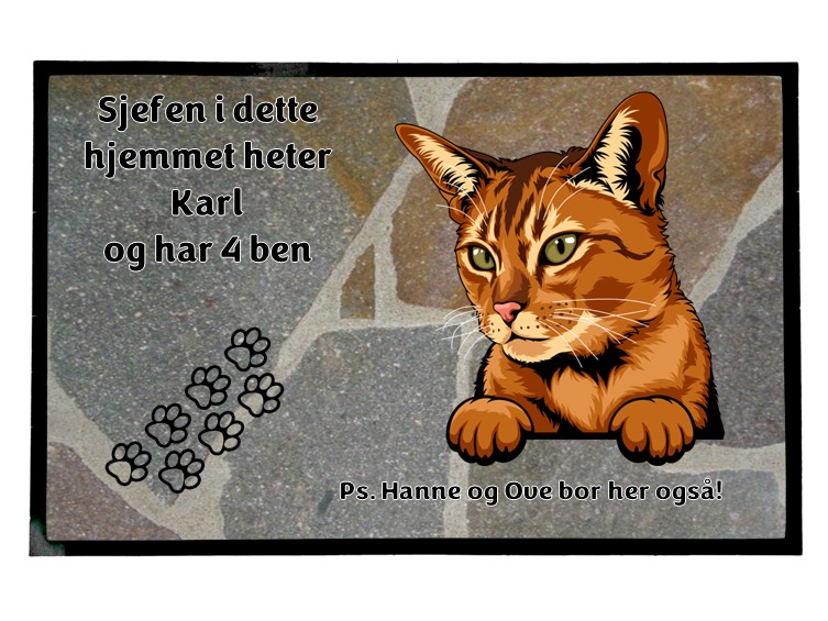  Dørmatte Katt 27